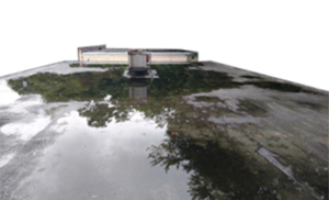 Ponding Water Warranty