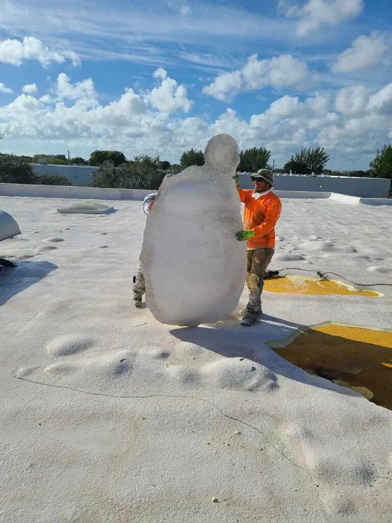 updated professional commercial roof replacement in fort lauderdale, florida