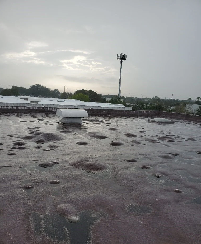 Flat cool roof project on office complex