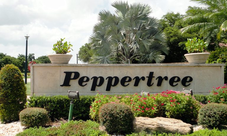 Budget-friendly solution for Village of Peppertree condominium, Boca Raton, FL