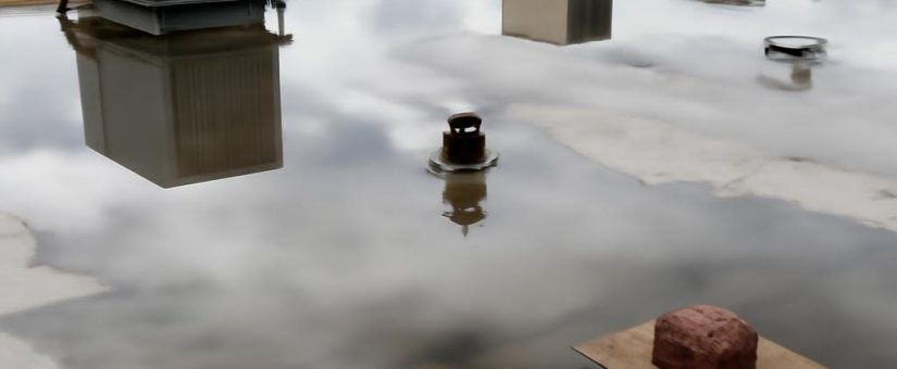 Understanding When to Repair, Restore, or Replace Your Commercial Roof